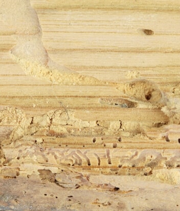 Засоби захисту