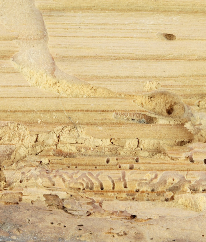 Засоби захисту