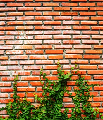 Засоби догляду