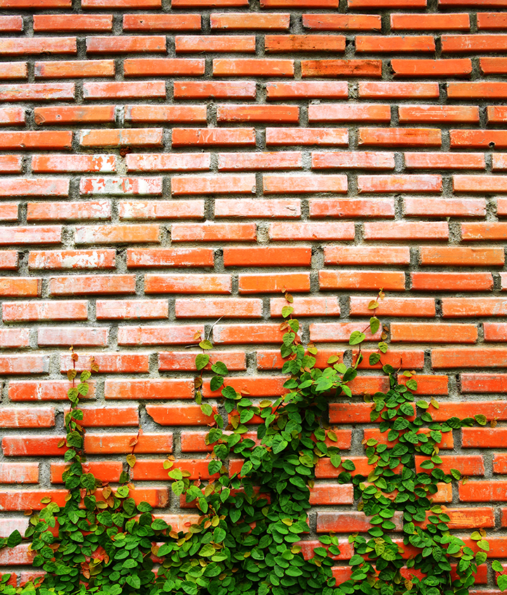 Засоби догляду