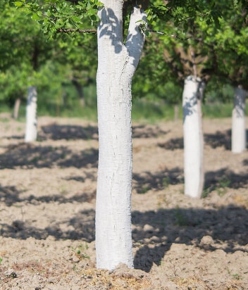 Фарби захисні