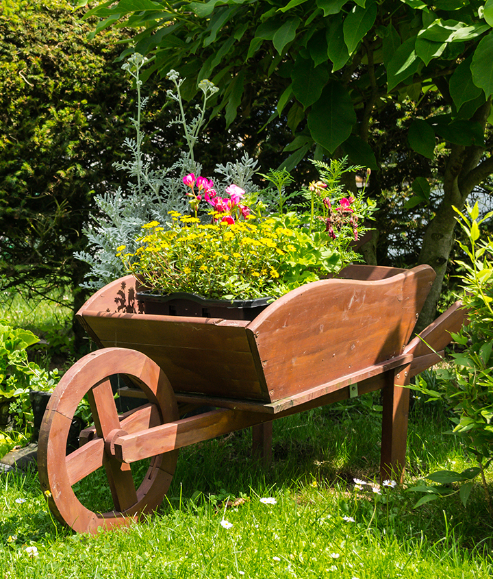 Імпрегнати